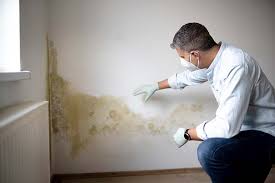 Best Water Damage & Mold Remediation  in Huntley, IL